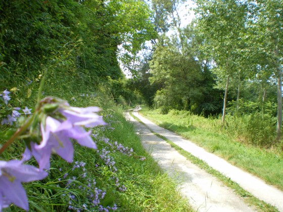 Chemin François Ier