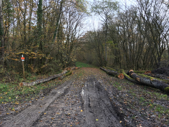 Chemin