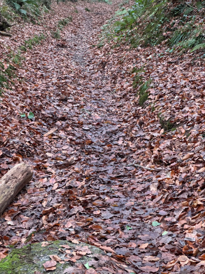 Chemin hivernal