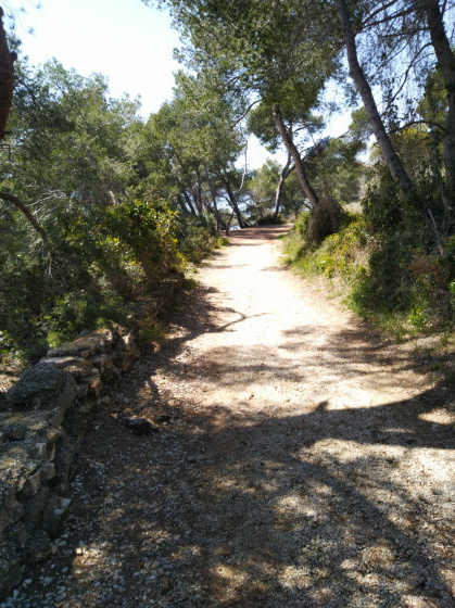Chemin île sainte marguerite