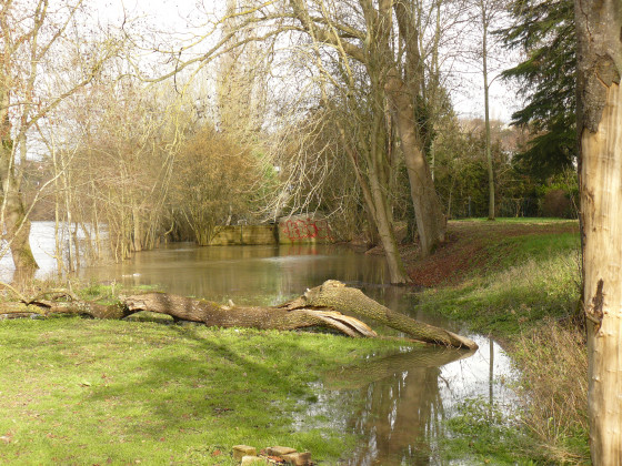 Chemin inond&eacute;