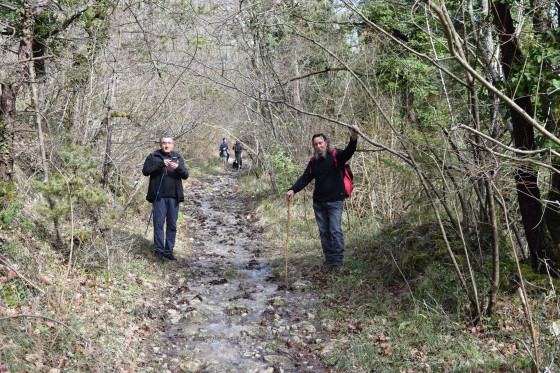 Chemin inondé.