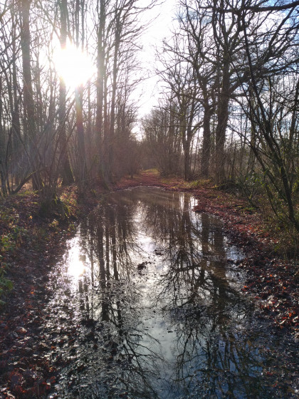 Chemin inond&eacute;