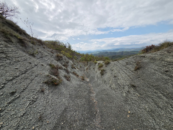 Chemin juste avant le retour sur Point 5