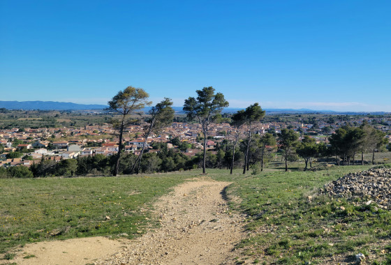 Chemin large