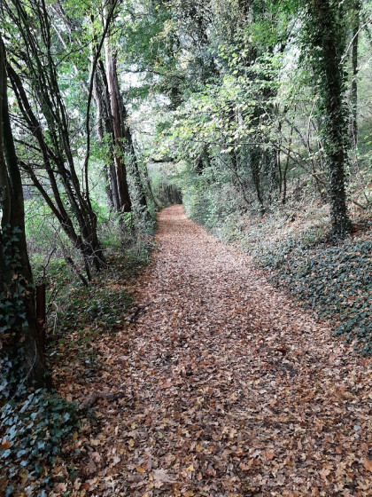 Chemin le long de l\'Eau Noire