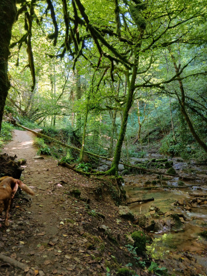 Chemin Le long de la rivi&egrave;re