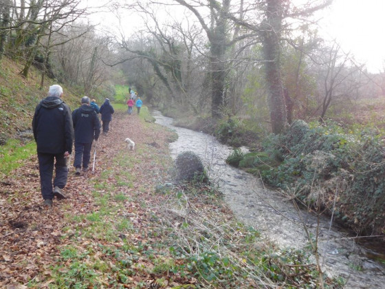 Chemin le long de la rivière