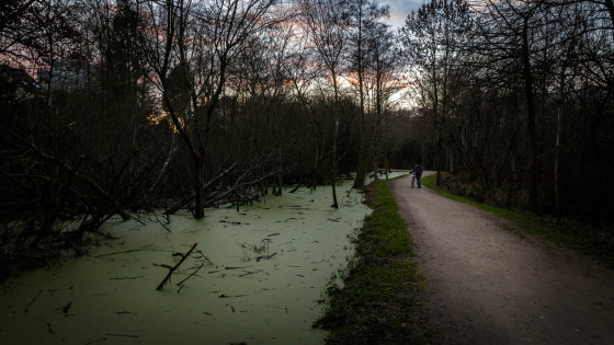 Chemin le long du Gesvres