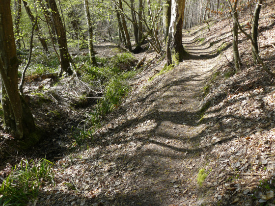 Chemin le long du ruisseau des Brulins