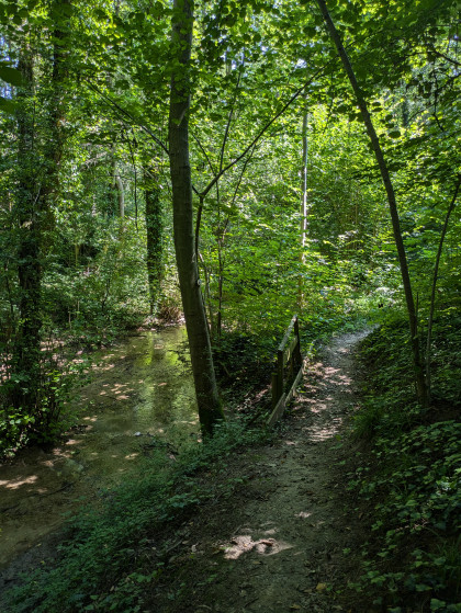 Chemin longeant l\'Oberried