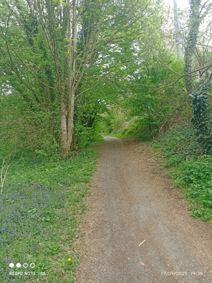 Chemin longeant la voie ferrée
