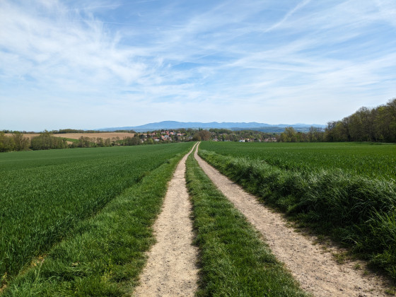 Chemin menant à Uffheim