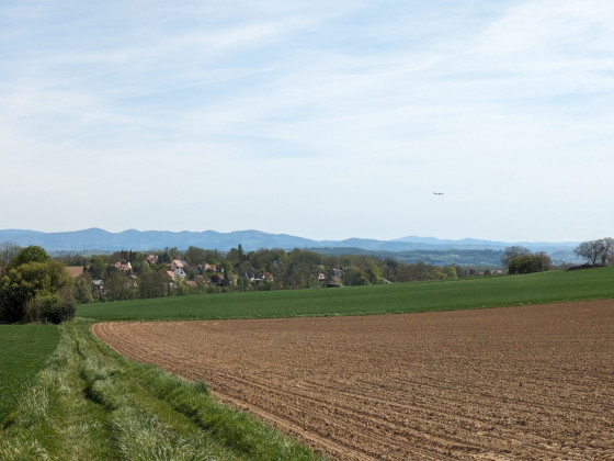 Chemin menant à Waltenheim