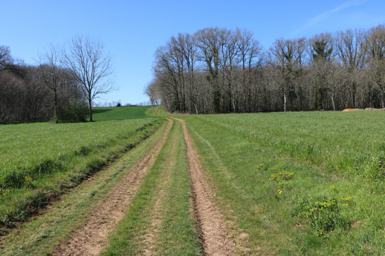 Chemin menant au Bois de la Roche (partie Nord)