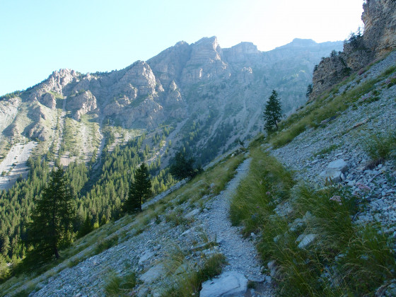 Chemin montant au Vallon de L\'Estrop