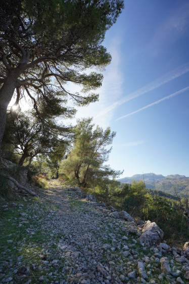 Chemin montant