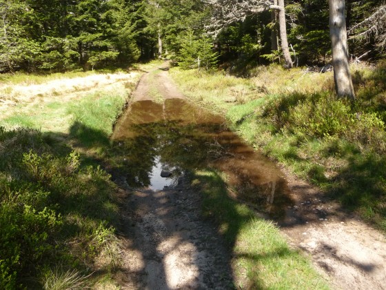 Chemin noyé
