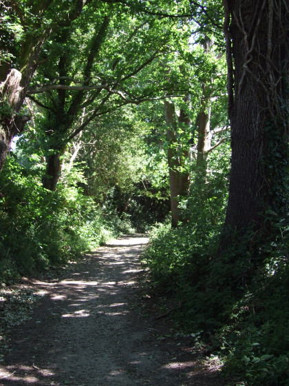 Chemin ombrag&eacute;