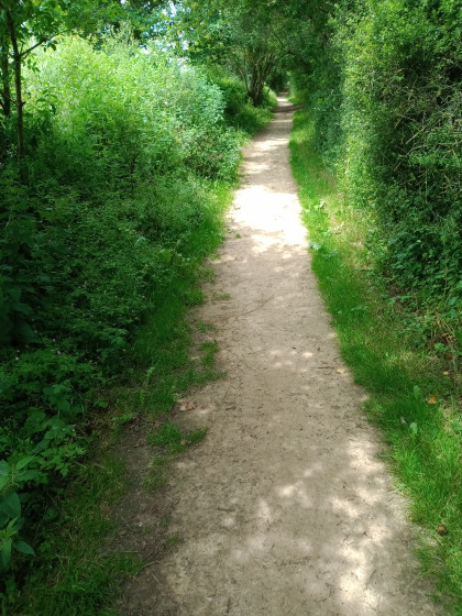 Chemin ombragé.