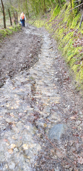 chemin ou ruisseau ????