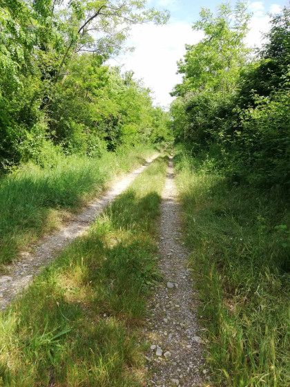 Chemin parallèle voie ferrée