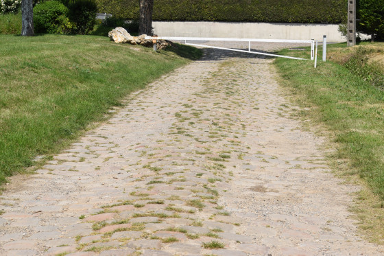 Chemin pavé