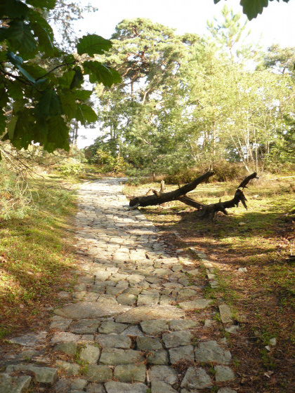 Chemin pav&eacute;