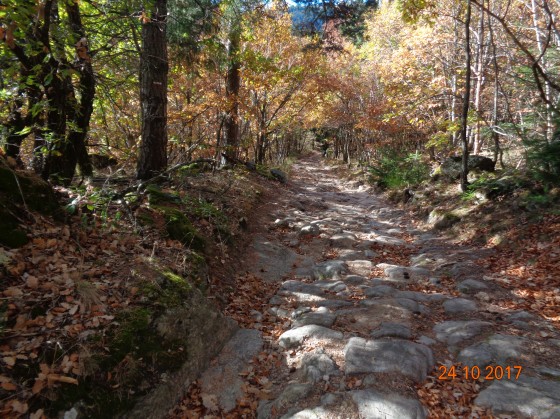 Chemin pavé