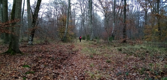 Chemin peu marqué