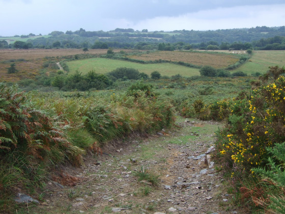 Chemin pierreux