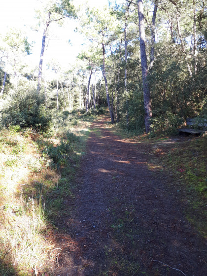 chemin pi&eacute;ton