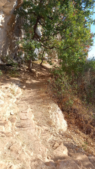 chemin pour aller au chateau
