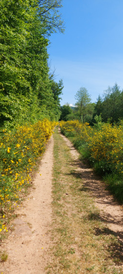 Chemin pour rejoindre le point 7