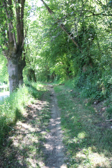 Chemin pour revenir vers la rue du bac à Pruillé