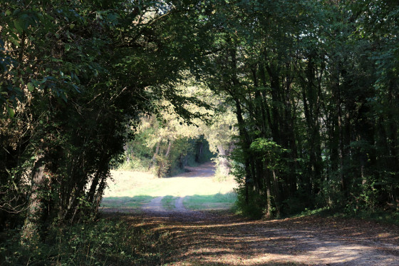 Chemin près de Beaugé amenant au Suin