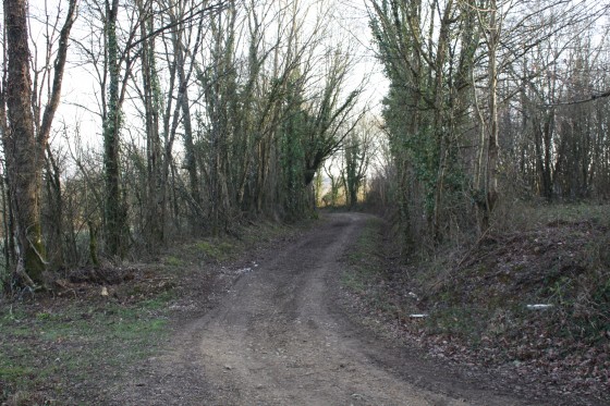 Chemin près de l\'embranchement de la Guillotière