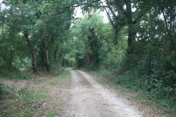 Chemin près de la Fontaine aux places