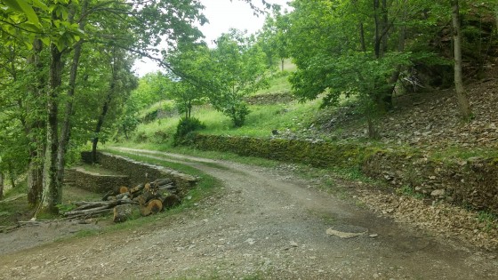Chemin près de La Liquière