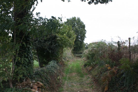 Chemin près de la Revétizon