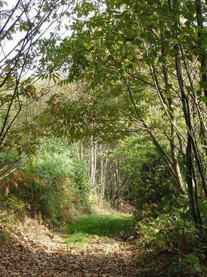 Chemin Princé