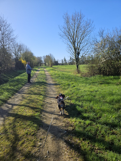 chemin propre