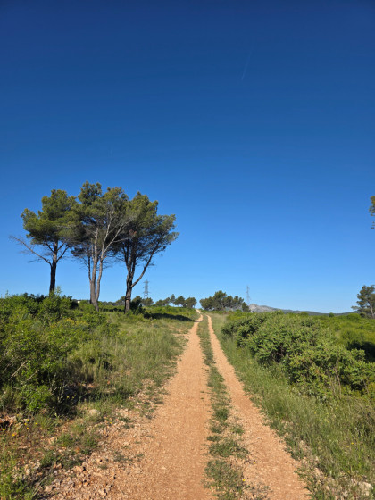 Chemin que l'on Empreinte