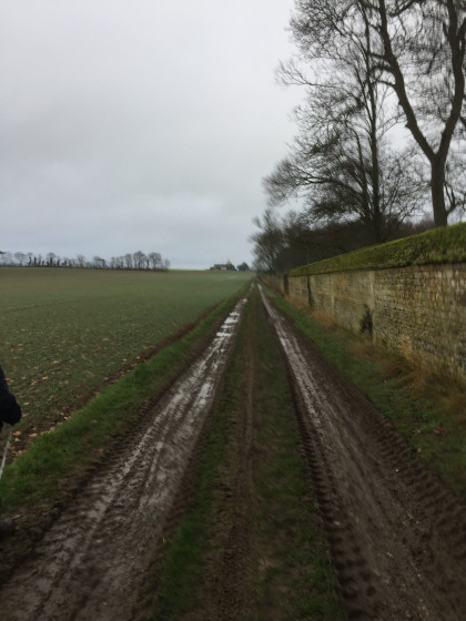 Chemin qui borde la plaine