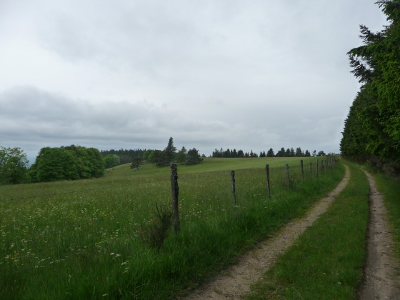 Chemin qui borde le Grand Bois