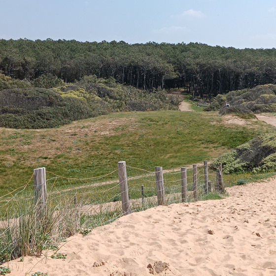 Chemin qui mène à la plage