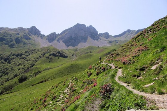 Chemin qui mène au Lac d\'Ansabère