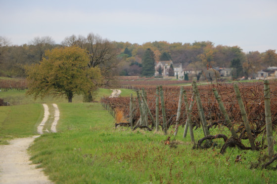 Chemin qui serpente en direction de Verrières