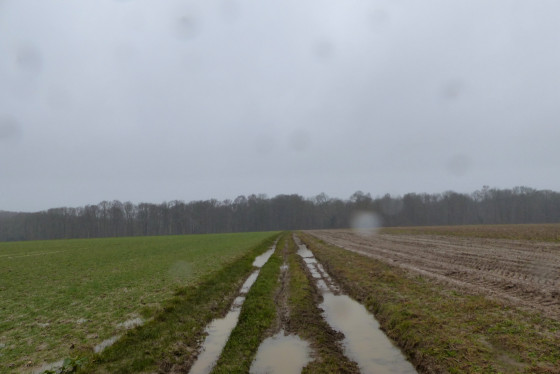Chemin qui suit La Sente du Merisier