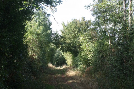 Chemin reliant la rue des Jonch&egrave;res &agrave; l'avenue Cl&eacute;ment Pineau